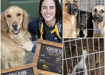 Caitlin Clark’s quiet rescue how wnba star saved forgotten lives