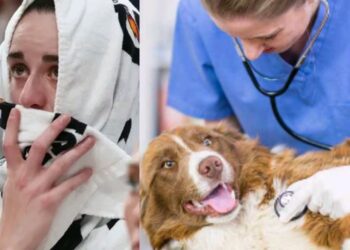 Caitlin Clark’s Heartfelt Farewell to Beloved Dog Jackie..